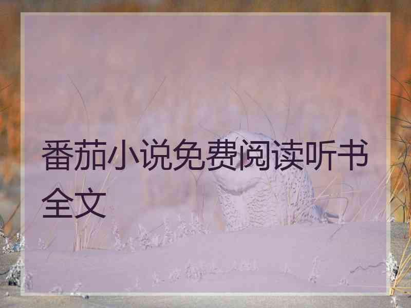 番茄小说免费阅读听书全文 番茄小说免费阅读听书全文