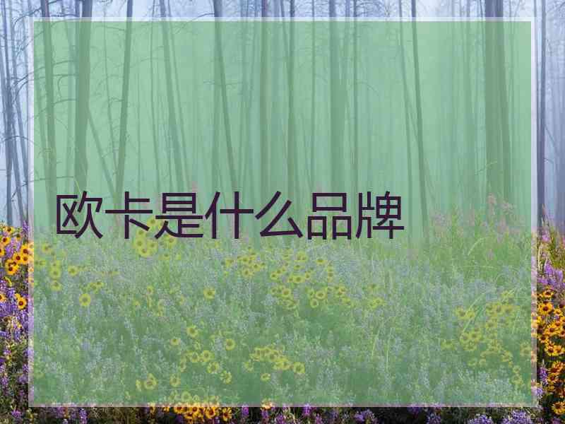 欧卡是什么品牌 欧卡是什么品牌