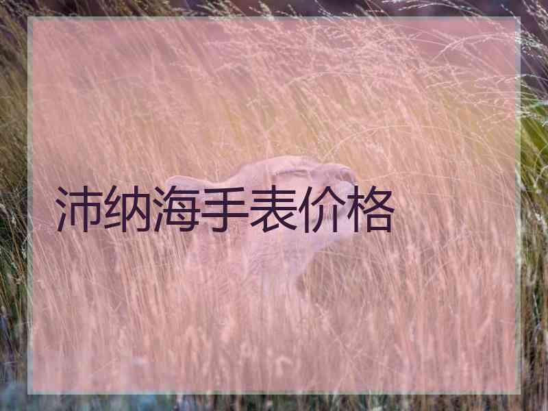 沛纳海手表价格 沛纳海手表价格
