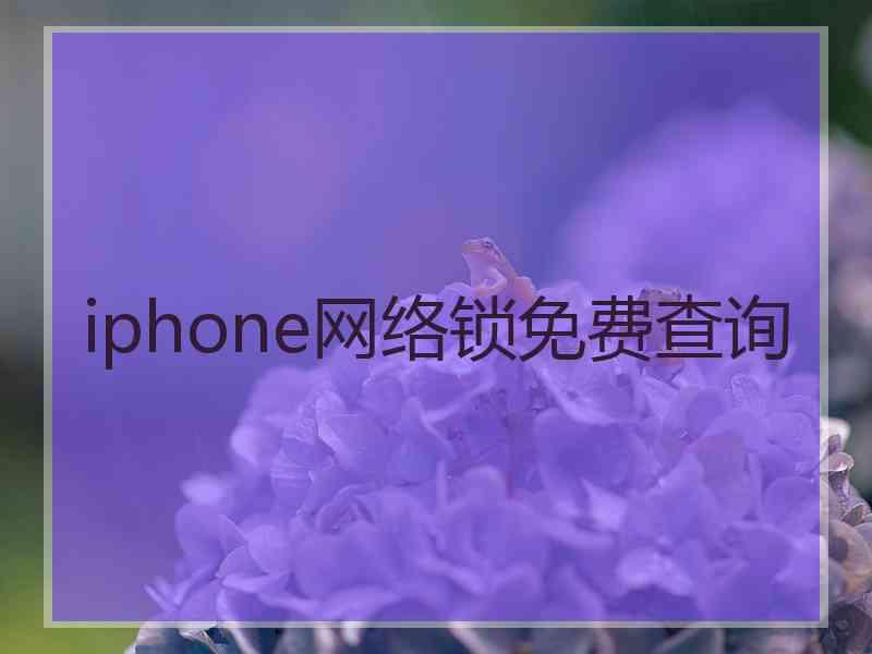iphone网络锁免费查询 iphone网络锁免费查询