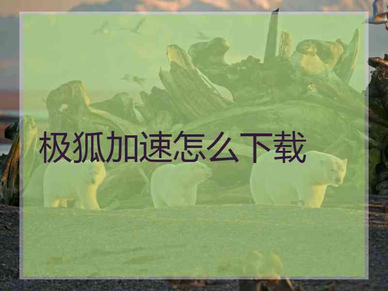 极狐加速怎么下载 极狐加速怎么下载