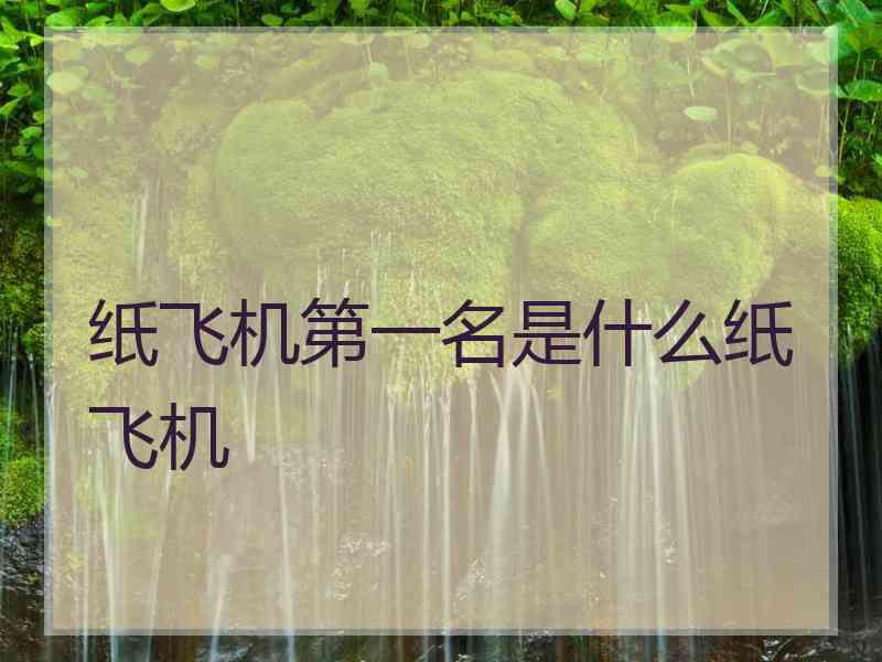 纸飞机第一名是什么纸飞机 纸飞机第一名是什么纸飞机