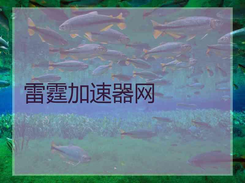 雷霆加速器网 雷霆加速器网