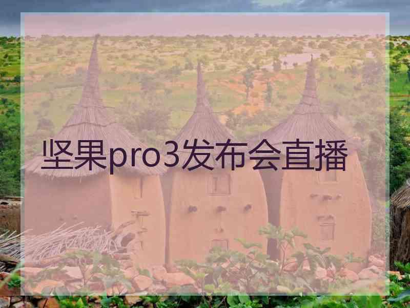 坚果pro3发布会直播 坚果pro3发布会直播