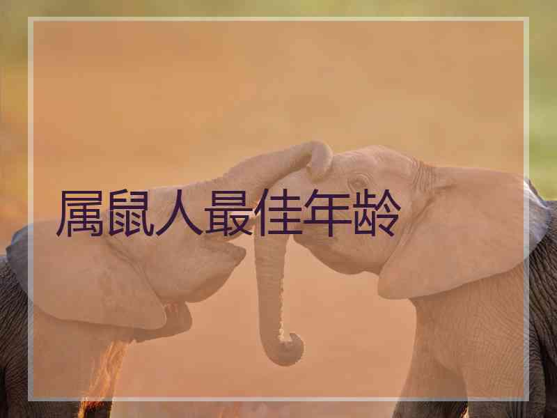 属鼠人最佳年龄 属鼠人最佳年龄