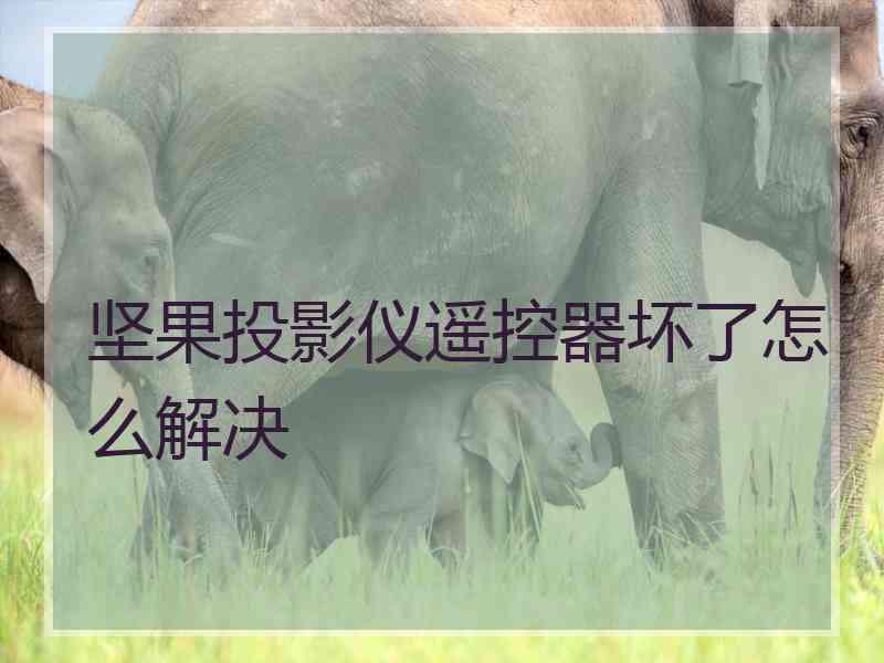 坚果投影仪遥控器坏了怎么解决 坚果投影仪遥控器坏了怎么解决