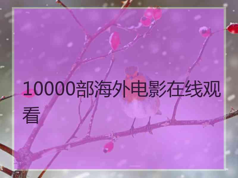 10000部海外电影在线观看 10000部海外电影在线观看