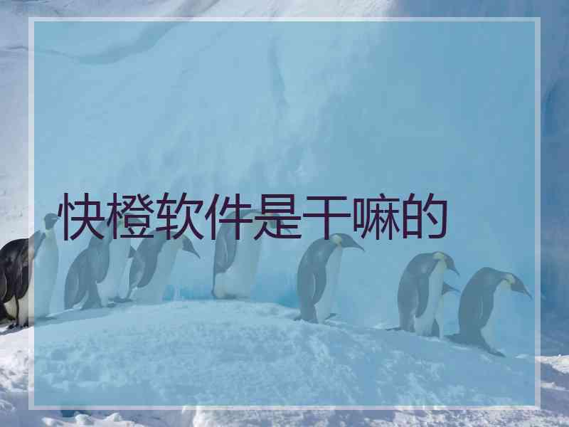快橙软件是干嘛的 快橙软件是干嘛的