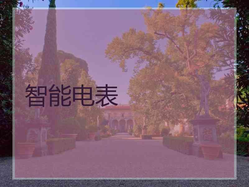 智能电表 智能电表