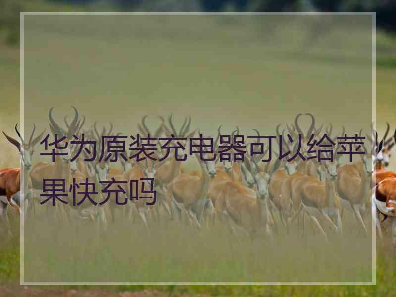 华为原装充电器可以给苹果快充吗 华为原装充电器可以给苹果快充吗