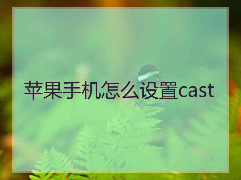 苹果手机怎么设置cast 苹果手机怎么设置cast