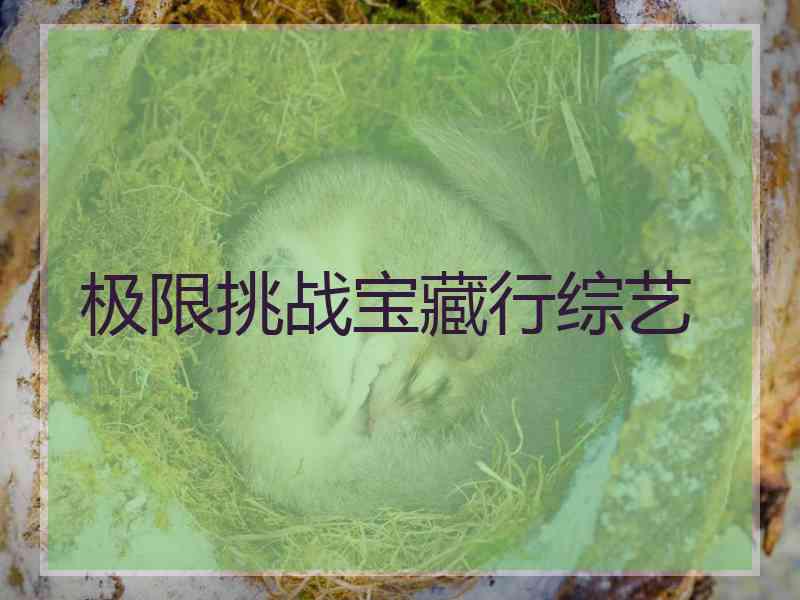 极限挑战宝藏行综艺 极限挑战宝藏行综艺