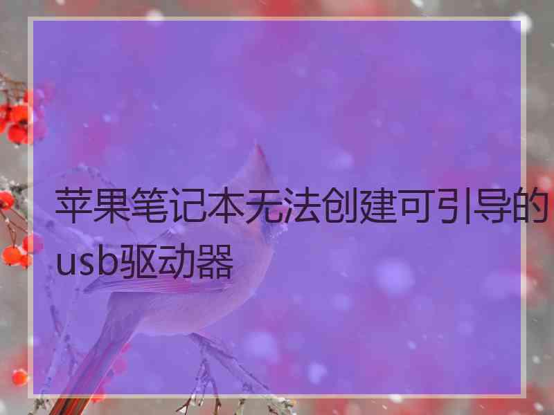 苹果笔记本无法创建可引导的usb驱动器 苹果笔记本无法创建可引导的usb驱动器