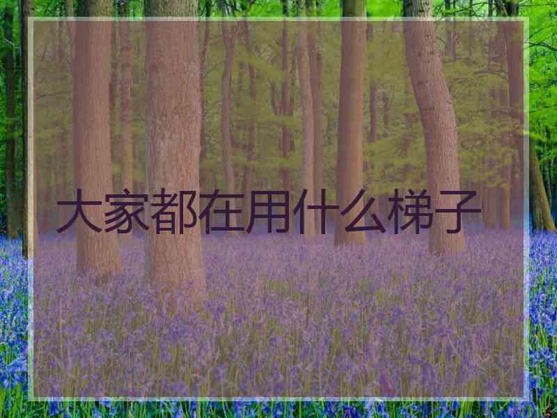 大家都在用什么梯子 大家都在用什么梯子