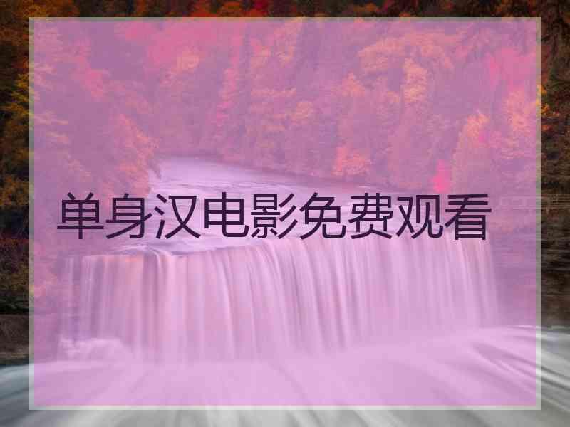 单身汉电影免费观看 单身汉电影免费观看