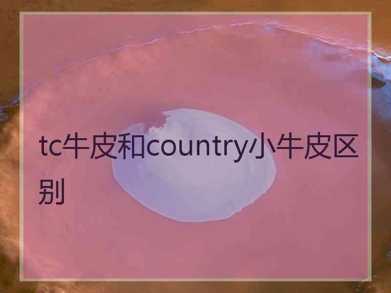 tc牛皮和country小牛皮区别 tc牛皮和country小牛皮区别