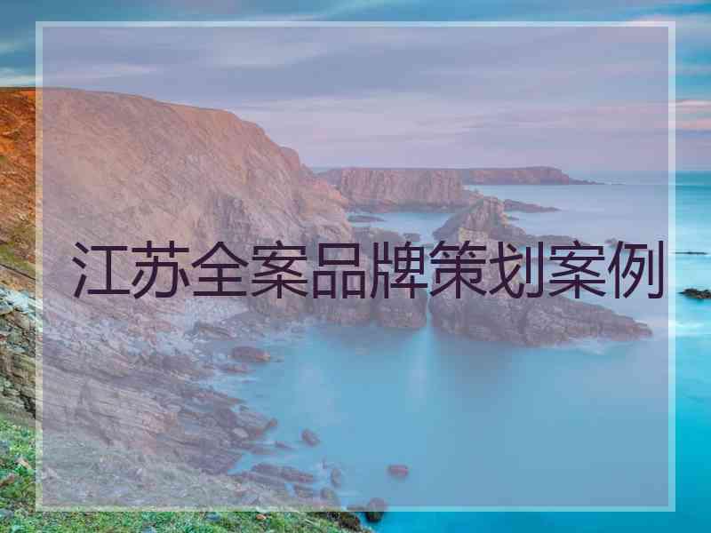 江苏全案品牌策划案例 江苏全案品牌策划案例