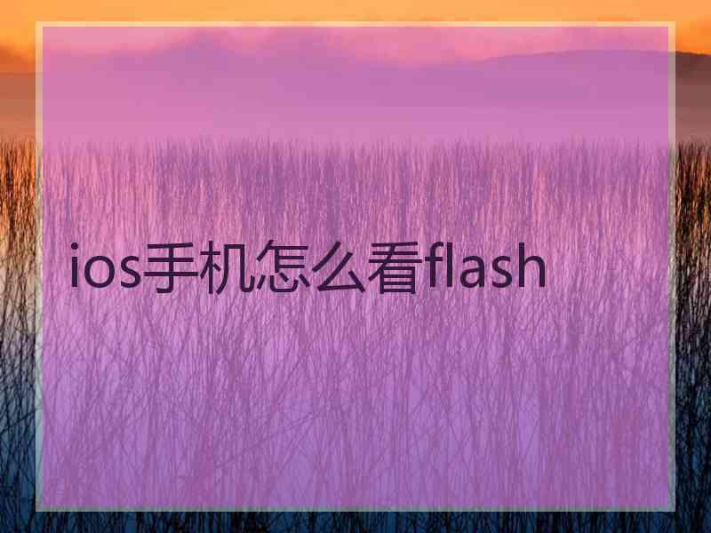 ios手机怎么看flash