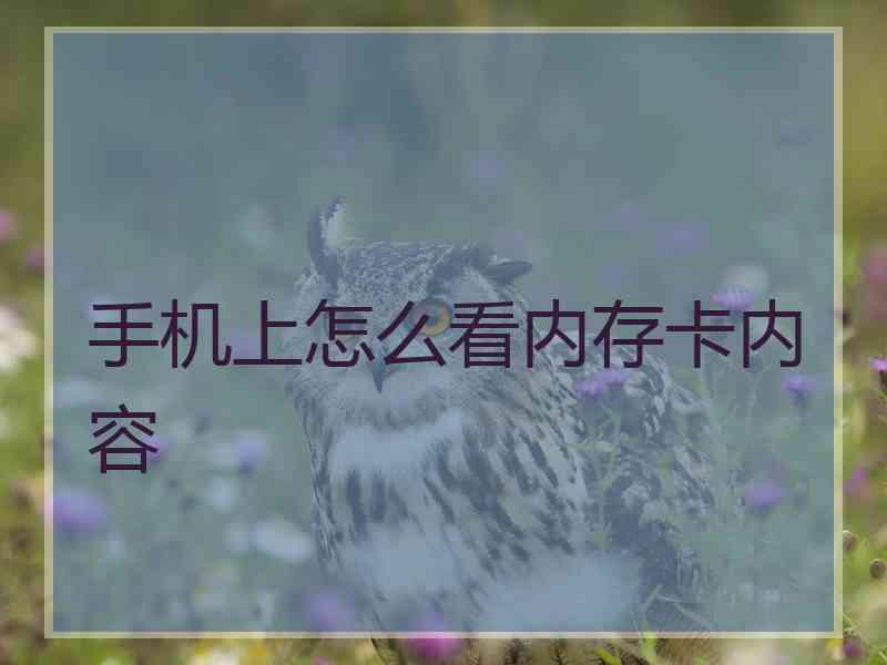 手机上怎么看内存卡内容 手机上怎么看内存卡内容