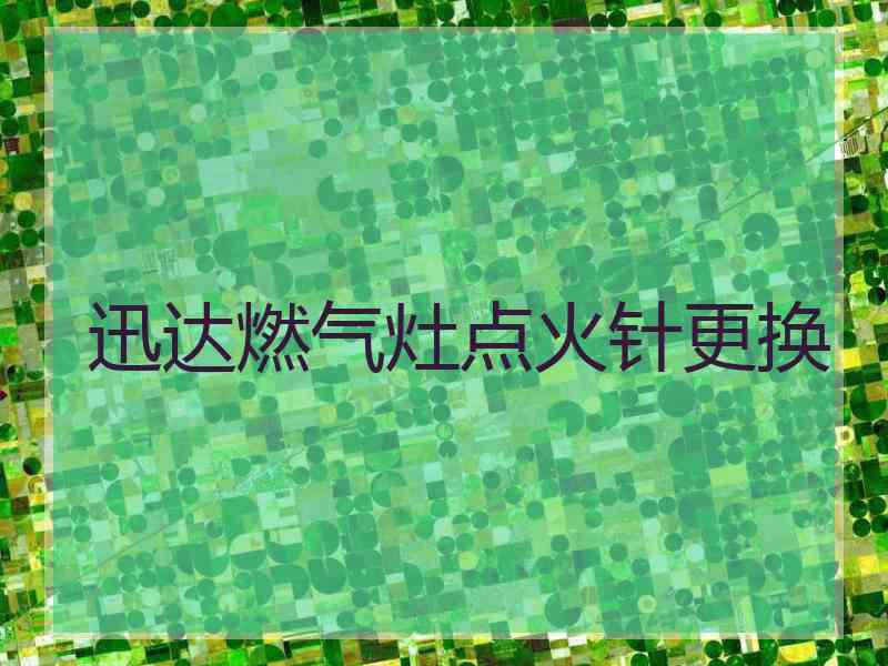 迅达燃气灶点火针更换 迅达燃气灶点火针更换