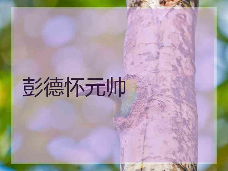 彭德怀元帅 彭德怀元帅