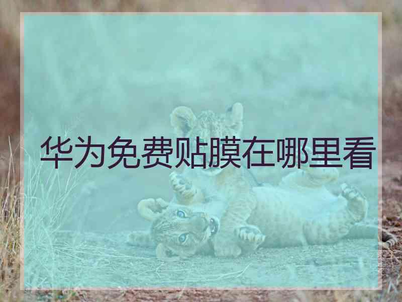 华为免费贴膜在哪里看 华为免费贴膜在哪里看