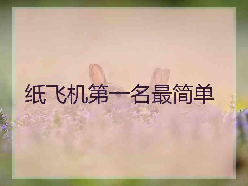 纸飞机第一名最简单 纸飞机第一名最简单