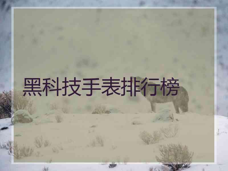 黑科技手表排行榜 黑科技手表排行榜