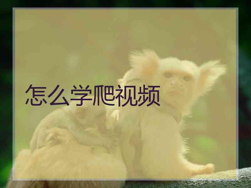 怎么学爬视频 怎么学爬视频