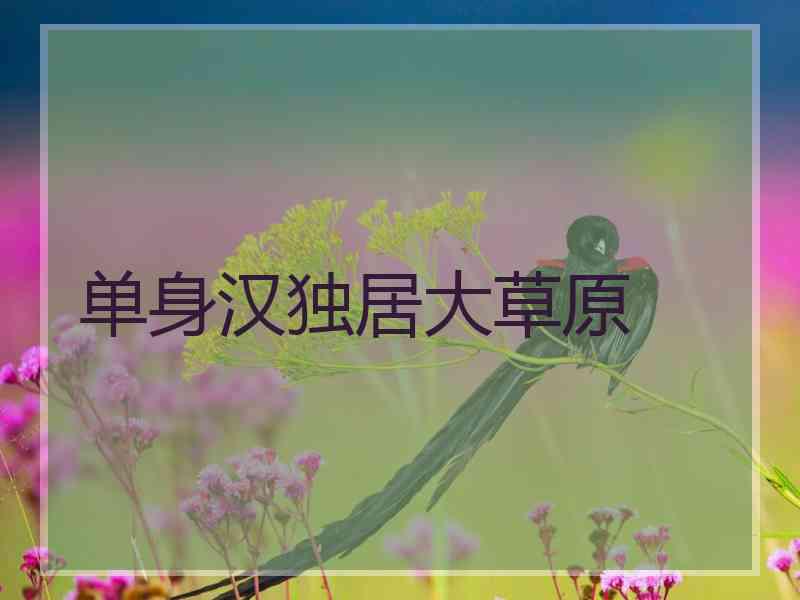 单身汉独居大草原 单身汉独居大草原