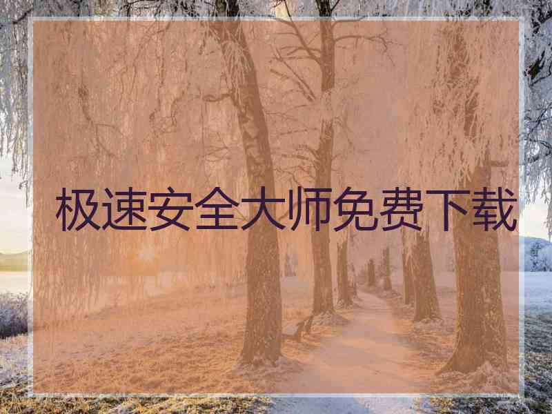 极速安全大师免费下载 极速安全大师免费下载