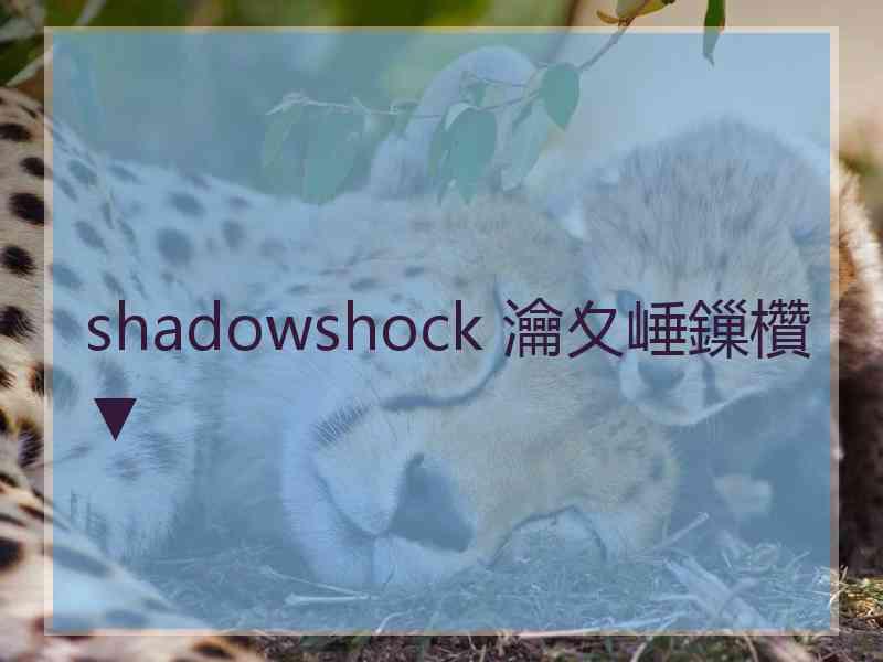 shadowshock 瀹夊崜鏁欑▼