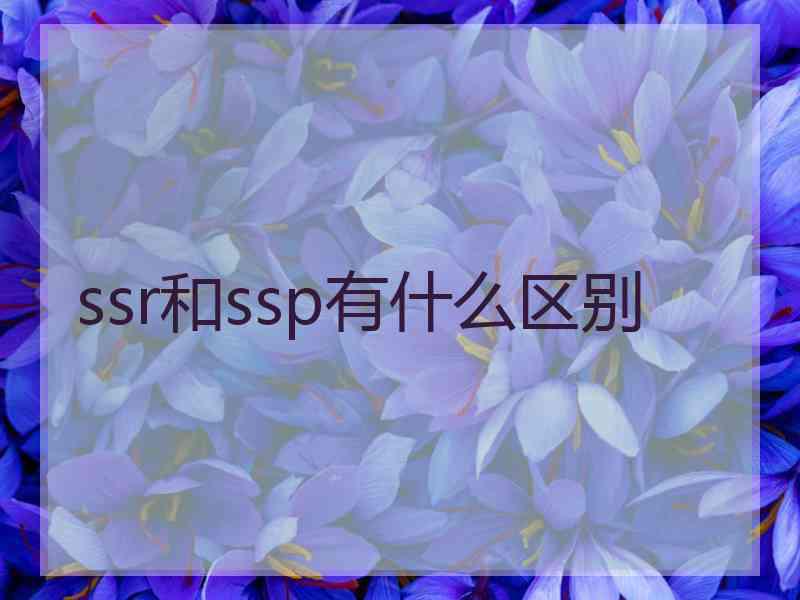 ssr和ssp有什么区别 ssr和ssp有什么区别