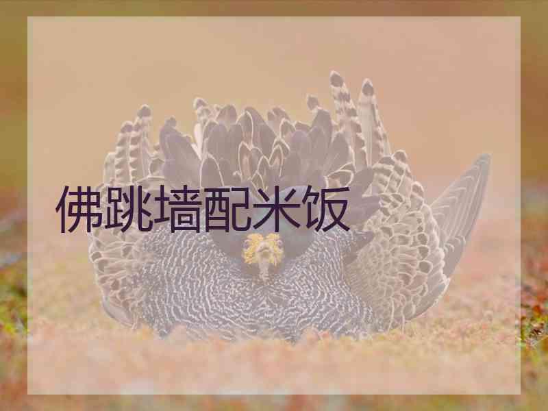佛跳墙配米饭 佛跳墙配米饭