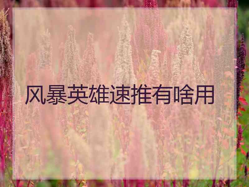 风暴英雄速推有啥用 风暴英雄速推有啥用