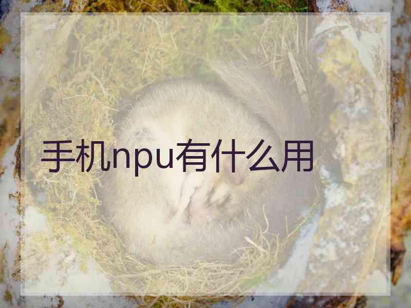 手机npu有什么用 手机npu有什么用