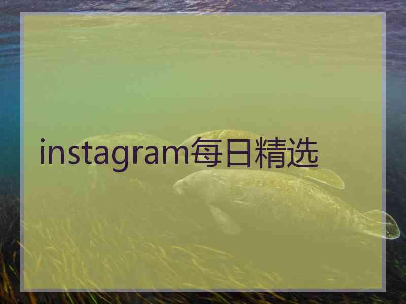 instagram每日精选 instagram每日精选