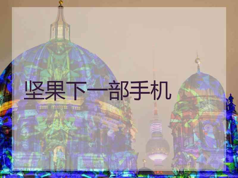 坚果下一部手机 坚果下一部手机