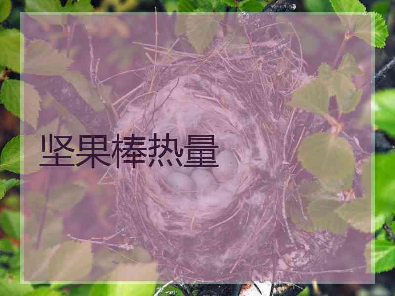 坚果棒热量 坚果棒热量