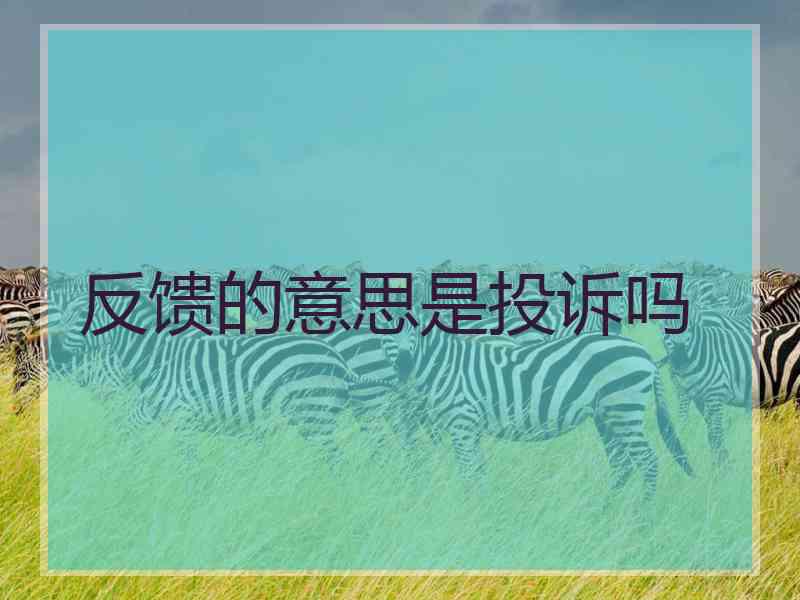 反馈的意思是投诉吗 反馈的意思是投诉吗