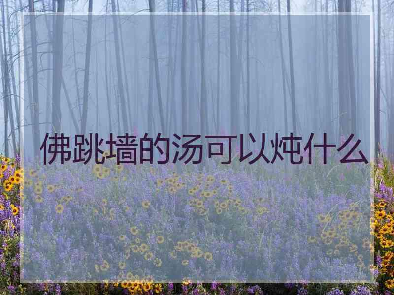 佛跳墙的汤可以炖什么 佛跳墙的汤可以炖什么