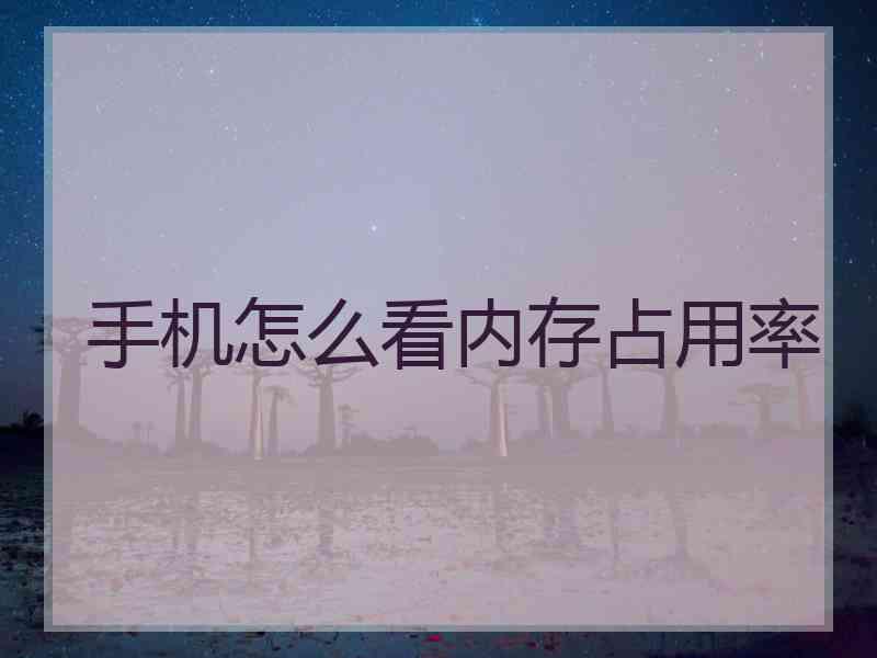 手机怎么看内存占用率 手机怎么看内存占用率