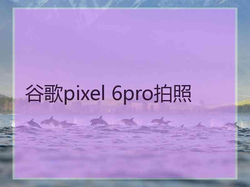 谷歌pixel 6pro拍照 谷歌pixel 6pro拍照