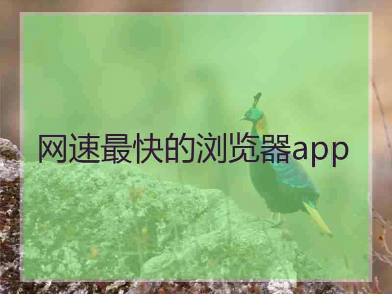 网速最快的浏览器app 网速最快的浏览器app