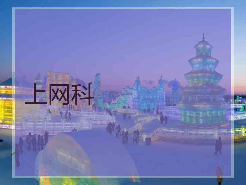上网科 上网科