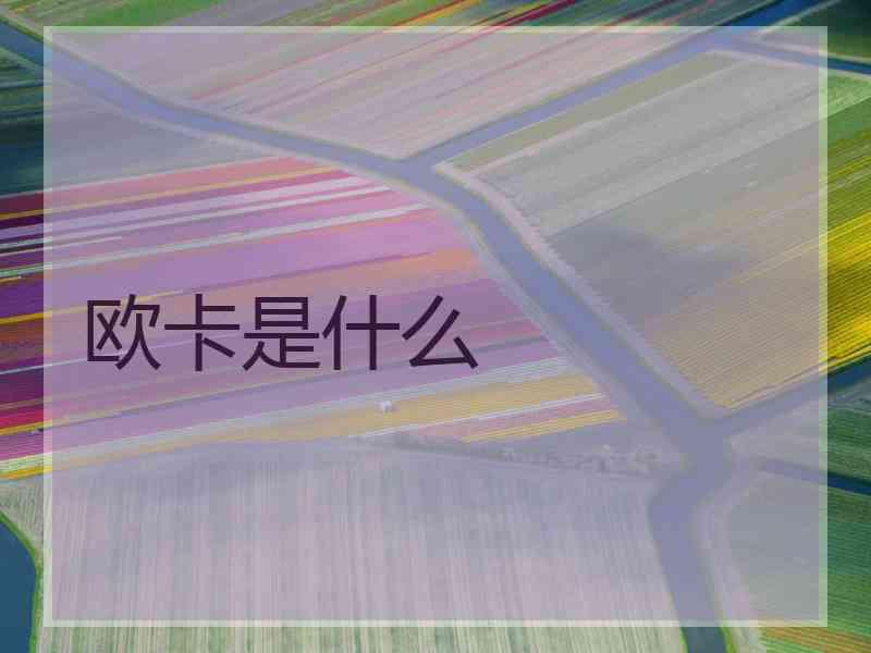 欧卡是什么 欧卡是什么