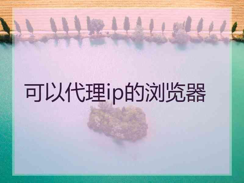 可以代理ip的浏览器 可以代理ip的浏览器