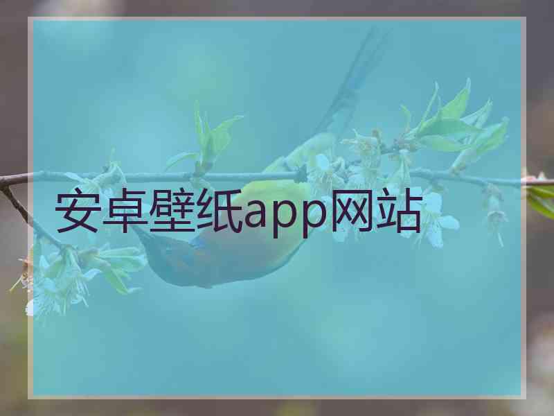 安卓壁纸app网站 安卓壁纸app网站