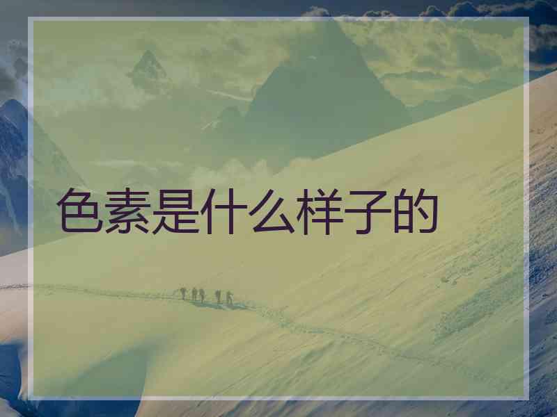 色素是什么样子的 色素是什么样子的