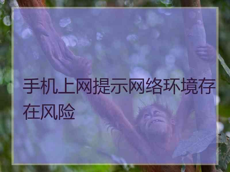 手机上网提示网络环境存在风险 手机上网提示网络环境存在风险